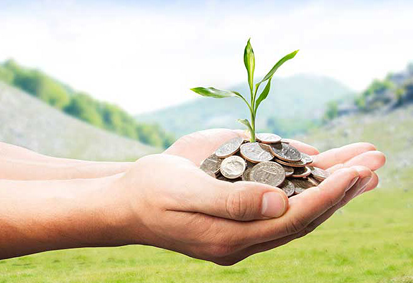 Green Shelter organic farming initiative